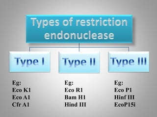 Eg:
Eco K1
Eco A1
Cfr A1
Eg:
Eco R1
Bam H1
Hind III
Eg:
Eco P1
Hinf III
EcoP15i
 