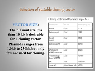 VECTOR SIZE:
The plasmid size less
than 10 kb is desirable
for a cloning vector.
Plasmids ranges from
1.0kb to 250kb,but only
few are used for cloning.
Selection of suitable cloning vector
 