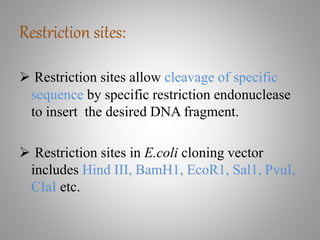 Restriction sites:
 Restriction sites allow cleavage of specific
sequence by specific restriction endonuclease
to insert the desired DNA fragment.
 Restriction sites in E.coli cloning vector
includes Hind III, BamH1, EcoR1, Sal1, PvuI,
CIaI etc.
 
