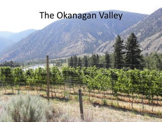 The Okanagan Valley
 