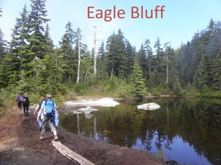 Eagle Bluff