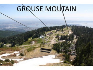 GROUSE MOUTAIN