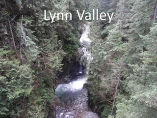 Lynn Valley