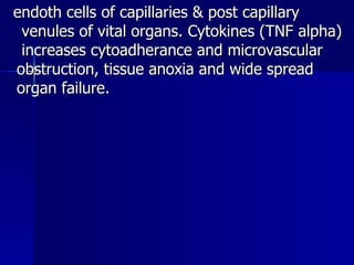 endoth cells of capillaries & post capillary  venules of vital organs. Cytokines (TNF alpha)  increases cytoadherance and microvascular  obstruction, tissue anoxia and wide spread  organ failure. 