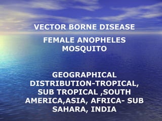 VECTOR BORNE DISEASE FEMALE ANOPHELES MOSQUITO GEOGRAPHICAL DISTRIBUTION-TROPICAL, SUB TROPICAL ,SOUTH AMERICA,ASIA, AFRICA- SUB SAHARA, INDIA