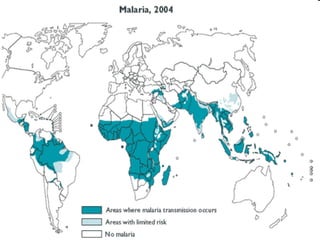 Malaria | PPT