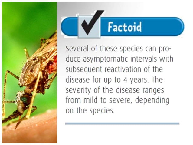 malaria-pathophysiology-medical-and-nursing-management