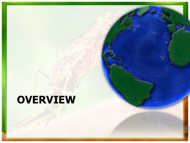 malaria-pathophysiology-medical-and-nursing-management