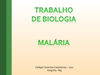 Colégio Cenecista Catanduvas – 2011 Varginha - Mg 