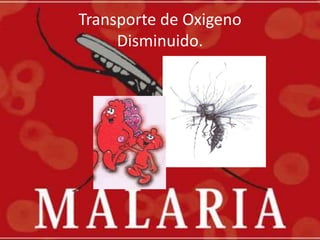Transporte de OxigenoDisminuido.