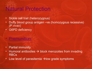 Natural Protection Sickle cell trait (heterozygous) Duffy blood group antigen –ve (homozygous recessive) (P.vivax) G6PD deficiency Premunition: Partial immunity Humoral antibodies    block merozoites from invading RBCs Low level of parasitemia   low grade symptoms 