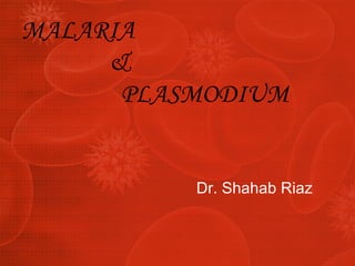 MALARIA    &    PLASMODIUM ,[object Object]