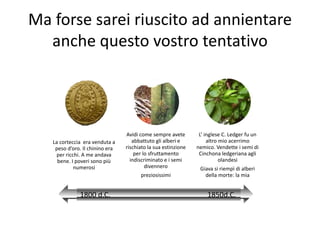 Ma forse sarei riuscito ad annientare
  anche questo vostro tentativo




                                 Avidi come sempre avete        L’ inglese C. Ledger fu un
   La corteccia era venduta a       abbattuto gli alberi e          altro mio acerrimo
    peso d’oro. Il chinino era   rischiato la sua estinzione   nemico. Vendette i semi di
     per ricchi. A me andava         per lo sfruttamento        Cinchona ledgeriana agli
     bene. I poveri sono più       indiscriminato e i semi                olandesi
             numerosi                     divennero             Giava si riempì di alberi
                                       preziosissimi              della morte: la mia


              1800 d.C.                                            1850d.C.
 