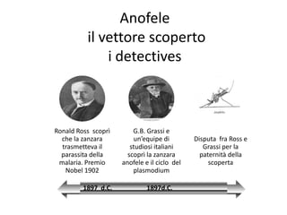 Anofele
          il vettore scoperto
              i detectives



Ronald Ross scoprì       G.B. Grassi e
  che la zanzara         un’equipe di         Disputa fra Ross e
  trasmetteva il        studiosi italiani        Grassi per la
  parassita della      scoprì la zanzara        paternità della
 malaria. Premio     anofele e il ciclo del        scoperta
   Nobel 1902            plasmodium

         1897 d.C.            1897d.C.
 