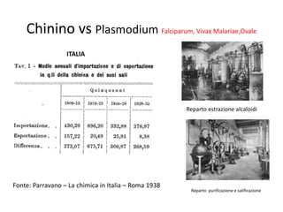 Chinino vs Plasmodium Falciparum, Vivax Malariae,Ovale
                  ITALIA




                                                      Reparto estrazione alcaloidi




Fonte: Parravano – La chimica in Italia – Roma 1938
                                                       Reparto purificazione e salificazione
 