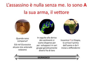L’assassino è nulla senza me. Io sono A
         la sua arma, il vettore



      Quando sono         In seguito alla deriva
       comparsa?             dei continenti ci     Incontrai P in Etiopia.
                           siamo disperse per         Io arrivai lì prima
    Già nel Giurassico   poi svilupparci in vari      dell’uomo e da lì
   alcune mie antenate   gruppi geneticamente       iniziai a diffondermi
        volavano            diversi fra di loro


                          GIURASSICO
 