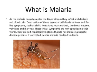 What is Malaria
•   As the malaria parasites enter the blood stream they infect and destroy
    red blood cells. Destruction of these essential cells leads to fever and flu-
    like symptoms, such as chills, headache, muscle aches, tiredness, nausea,
    vomiting and diarrhea. These initial symptoms are non-specific: in other
    words, they are self-reported symptoms that do not indicate a specific
    disease process. If untreated, severe malaria can lead to death.
 