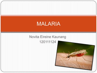 MALARIA

Novita Eireine Kaunang
      120111124
 