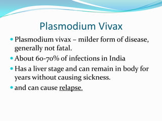 Plasmodium Vivax
 Plasmodium vivax – milder form of disease,
  generally not fatal.
 About 60-70% of infections in India
 Has a liver stage and can remain in body for
  years without causing sickness.
 and can cause relapse.
 