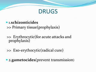DRUGS
 1.schizonticides
>> Primary tissue(prophylaxis)

>> Erythrocytic(for acute attacks and
 prophylaxis)

>> Exo-erythocytic(radical cure)

 2.gametocides(prevent transmission)
 