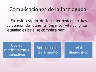 Complicaciones de la fase aguda
   En este estado de la enfermedad no hay
evidencia de daño a órganos vitales y su
letalidad es baja, se complica por:
 
