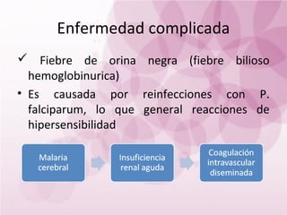 Enfermedad complicada
 Fiebre de orina negra (fiebre bilioso
  hemoglobinurica)
• Es causada por reinfecciones con P.
  falciparum, lo que general reacciones de
  hipersensibilidad
 