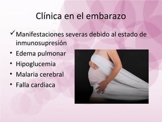 Clínica en el embarazo
Manifestaciones severas debido al estado de
  inmunosupresión
• Edema pulmonar
• Hipoglucemia
• Malaria cerebral
• Falla cardiaca
 