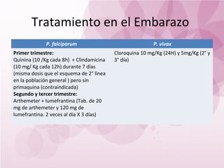 Tratamiento en el Embarazo
             P. falciparum                                P. vivax
Primer trimestre:                         Cloroquina 10 mg/Kg (24H) y 5mg/Kg (2° y
Quinina (10 /Kg cada 8h) + Clindamicina   3° día)
(10 mg/ Kg cada 12h) durante 7 días
(misma dosis que el esquema de 2° línea
en la población general ) pero sin
primaquina (contraindicada)
Segundo y tercer trimestre:
Arthemeter + lumefrantina (Tab. de 20
mg de arthemeter y 120 mg de
lumefrantina. 2 veces al día X 3 días)
 