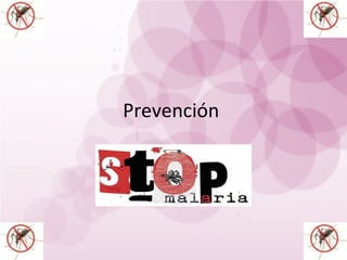 Prevención
 