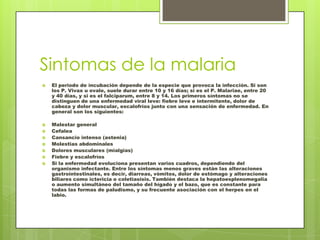 Sintomas de la malaria
   El periodo de incubación depende de la especie que provoca la infección. Si son
    los P. Vivax u ovale, suele durar entre 10 y 16 días; si es el P. Malariae, entre 20
    y 40 días, y si es el falciparum, entre 8 y 14. Los primeros síntomas no se
    distinguen de una enfermedad viral leve: fiebre leve e intermitente, dolor de
    cabeza y dolor muscular, escalofríos junto con una sensación de enfermedad. En
    general son los siguientes:

   Malestar general
   Cefalea
   Cansancio intenso (astenia)
   Molestias abdominales
   Dolores musculares (mialgias)
   Fiebre y escalofríos
   Si la enfermedad evoluciona presentan varios cuadros, dependiendo del
    organismo infectante. Entre los síntomas menos graves están las alteraciones
    gastrointestinales, es decir, diarreas, vómitos, dolor de estómago y alteraciones
    biliares como ictericia o coletiasisis. También destaca la hepatoesplenomegalia
    o aumento simultáneo del tamaño del hígado y el bazo, que es constante para
    todas las formas de paludismo, y su frecuente asociación con el herpes en el
    labio.
 