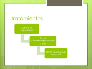 tratamientos
   Asister a un
   especialista



                     Tomar
            quinina650mg+doxicilina
                    7 dias



                             Tomar cloroquinina+
                                 proguanil
 
