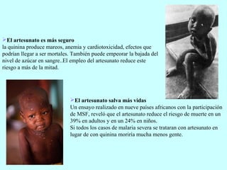 El artesunato es más seguro
la quinina produce mareos, anemia y cardiotoxicidad, efectos que
podrían llegar a ser mortales. También puede empeorar la bajada del
nivel de azúcar en sangre..El empleo del artesunato reduce este
riesgo a más de la mitad.
El artesunato salva más vidas
Un ensayo realizado en nueve países africanos con la participación
de MSF, reveló que el artesunato reduce el riesgo de muerte en un
39% en adultos y en un 24% en niños.
Si todos los casos de malaria severa se trataran con artesunato en
lugar de con quinina moriría mucha menos gente.
 