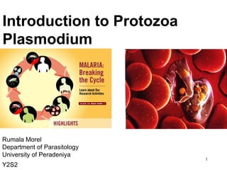 1
Introduction to Protozoa
Plasmodium
Rumala Morel
Department of Parasitology
University of Peradeniya
Y2S2
 