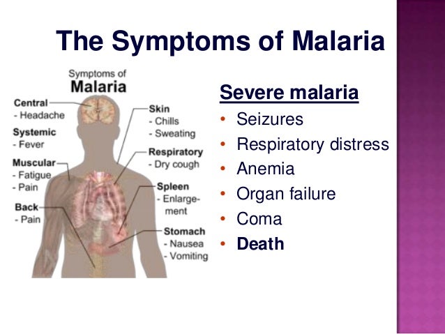 malaria case study questions