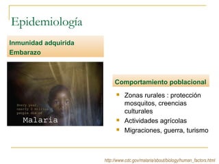 Epidemiología
Inmunidad adquirida
Embarazo
Comportamiento poblacional
 Zonas rurales : protección
mosquitos, creencias
culturales
 Actividades agrícolas
 Migraciones, guerra, turismo
http://www.cdc.gov/malaria/about/biology/human_factors.html
 