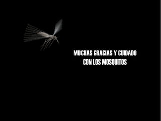 MUCHAS GRACIAS Y CUIDADO
CON LOS MOSQUITOS
 