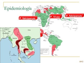 Epidemiología
P. Vivax
P. falciparum
WHO
P. falciparumP. Vivax
 
