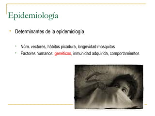 Epidemiología
 Determinantes de la epidemiología
 Núm. vectores, hábitos picadura, longevidad mosquitos
 Factores humanos: genéticos, inmunidad adquirida, comportamientos
 