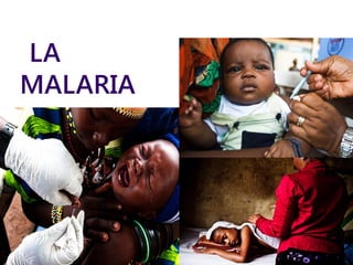 LA
MALARIA

 
