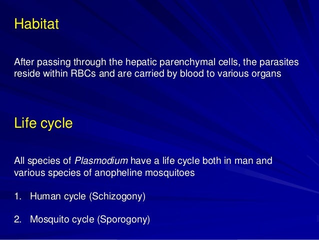 life cycle of plasmodium vivax in man and mosquito pdf