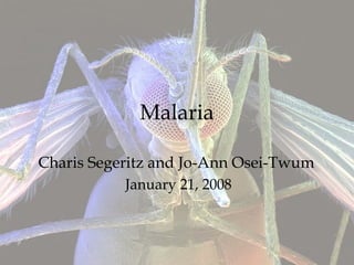 Malaria
Charis Segeritz and Jo-Ann Osei-Twum
January 21, 2008
 