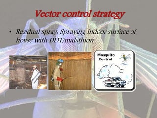 Vector control strategy
• Residual spray: Spraying indoor surface of
house with DDT/malathion.
 