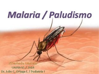 Malaria / Paludismo
 
