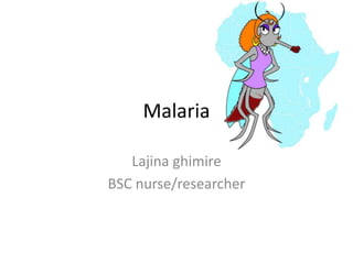 Malaria 
Lajina ghimire 
BSC nurse/researcher 
 