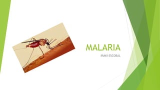 MALARIA
IÑAKI ESCOBAL
 