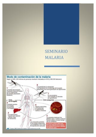 UNIVERSIDAD NACIONAL DE PIURA DEPARTAMENTO ACADÉMICO DE CLINICAS Y PATOLOGIA
FACULTAD DE MEDICINA HUMANA ÁREA CLÍNICO-Q UIRÚRGICA
OLIGOELEMENTOS
SEMINARIO
MALARIA
 