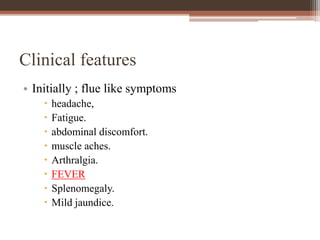 Clinical features
• Initially ; flue like symptoms
 headache,
 Fatigue.
 abdominal discomfort.
 muscle aches.
 Arthralgia.
 FEVER
 Splenomegaly.
 Mild jaundice.
 