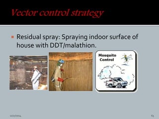  Residual spray: Spraying indoor surface of
house with DDT/malathion.
11/17/2014 63