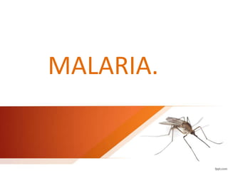 MALARIA.
 