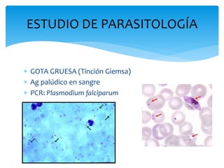  GOTA GRUESA (Tinción Giemsa)
 Ag palúdico en sangre
 PCR: Plasmodium falciparum
ESTUDIO DE PARASITOLOGÍA
 